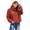 Sexy New Womens Outono-Inverno Neve Camisolas Turtle Neck mangas compridas listra listrado Camisolas capuz Hoodie Vestuário Tamanho S-2XL