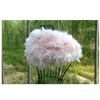 Scarves Women Wedding Fur Shrug Real Ostrich Feather Cape Shawl Stole Poncho For Bride S891