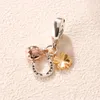 925 Sterling Silver Rose Shine Horseshoe Clover Ladybird Charm Bead för European Pandora Smycken Charm Armband