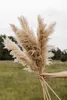 Big Pampas Grass Wedding Decor 130cm Natural Dried Reed Showcase Christmas ShopWindow Decor Real Plant 5560cm9117901