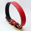 Uppdatera guldstift spänne hund krage justerbar mode läder krage halshundar levererar svart röd vit