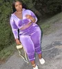 Grande taille femmes vêtements ensemble décontracté velours couleur unie à manches longues à capuche haut court pantalon ensembles grande taille femmes deux pièces tenues