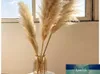 Pampas Beige Home Decoration Wedding Artificial Flowers Dried Flowers Tail Grass Wholesale