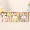 9Pcs/box Easter Party Favors Wooden Rabbit Chick Eggs Pendants with Hanging Rope Easter Home Decoration