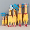 Screaming Chicken Squeeze Sound Toy Huisdieren Hondenspeelgoed Product Snerpend hulpmiddel Squeak Vent kip 20220110 Q25746922