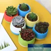 Boîtes de rangement Pots de plantes en plastique Paquet de 25 pots de fleurs Pot de soucoupe amovible avec trou de drainage pour graines succulentes de cactus Starting3411930