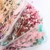 1 ящик реальных высушенных цветов сухие растения для ароматерапии свеча кулон ожерелье ювелирные изделия изготовления ремесла DIY валентинок подарки W-00617