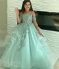 Pageant Little Sage Princess Ball Robes en dentelle appliquée Fleure Flower Robes Sweep Train Première Holy Communion Robe