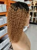 Perucas de cabelo humano de fechamento de renda 4x4 ombre 1b 30 onda de água peruana bob peruca com raízes escuras para mulheres negras