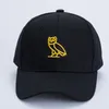 Nakış Beanie Beyzbol Kapağı Erkek Ördek Karikatür Sun Hip Hop Cap Erkek Baykuş Kapakları Şapkalar Erkek Kadın Luxurys Designers8686752