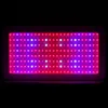 Ny design 2000W Dual Chips 380-730nm Full Light Spectrum LED Växt Tillväxt Lampa Vit Grow Lights Partihandel