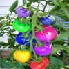 100 unids Arco iris Juicy Tomate Flower Semillas para el patio Césped Suministros de jardín Suministros Bonsai Plantas deliciosas sabrosas sabrosas orgánicas frescas No-GMO La tasa de germinación 95% Crecimiento natural
