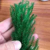 20-30CM/30g Real Dried Natural Fresh Forever Lycopodium Branches,Decorative Club Moss Bouquet,Dry preserved Eternal Grass,Home 220112