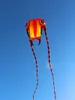 Большие мягкие виды трилобитовых воздушных змеев для взрослых RipStop Nylon Reel Jellyfise Octopus Eagle Kite Factory 10186282250