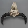 Resina Longhorn Cow Skull Head Wall Decor 3D Animal Wildlife Sculpture Fatuetas Artesanato Horns para Home Halloween Y200106