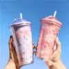 Sakura Pattern Plastic Cup with Straw Creative INS Style Double-Layered Water Cup 480ml Reusable Office Water Mug