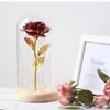 Goldplated Red Rose com luz LED na cúpula de vidro para festa de casamento Mother039s Day Gift4253854