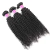 인도 Jerry Curl Human Hair Weave 머리카락 직조 곱슬 브라질 Maiaysian 인도 캄보디아 Jerry Curly 3pcs 번들 빠른 배달 9175321