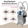 Cryolipolysis Body Shaping Machine 2 Cryo Heads Graisse Congélation Perte De Poids Lipo Laser Diode Cellulite Enlèvement Stand Équipement