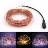 Strängar DC12V LED-strängljus Fairy Lights 10m 20m 30m Koppartråd Garland Jul Varm Vit / Vit / RGB med nätadapter