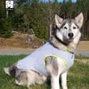 Truelove Zomer Hond Koeling Vest Hond Koeling Harnas voor Honden Verstelbare Pet Mesh Reflective Vest Harnesses Quick Release Hot 201114
