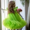 Brilhante Verde Flor Menina Tutu Vestido 2022 Mangas de Ruffle Comprimento do Chá Princesa Bebés Meninas Pageant Vestidos Puffy Primeiro Comunhão Aniversário Formal Party Wear Zipper