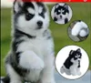 Realistici giocattoli di peluche realistici per cuccioli di cane giocattolo di simulazione di cani Husky 2754685