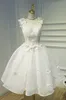 2021 krótkie suknie promowe V Neck 3d kwiatowy aplikacja A Line Butterfly Lace Up Powrót Długość Kolana Custom Made Evening Party Suknie Robe de Soirée