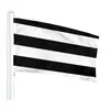 Heterosexualitet heteroseksuell lgbt gay pride flaggor svart vita band banners 3 'x 5'ft 100d polyester levande färg med två mässingsgrommets
