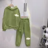 Haute qualité enfants filles garçons ensembles printemps enfants coton à capuche pantalon 2pctracksuit bébé garçon pull à capuche vêtements de sport tenue331526425871