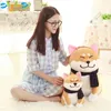 Shiba inu cão boneca brinquedo japonês doge cão brinquedo macio pelúcia bonito cosplay presente brinquedo 25cm lj201126