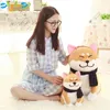 Shiba Inu Dog Doll Toy Doge japonés Dog Toy Soft Plush Cute Cosplay Gift Toy 25CM LJ201126