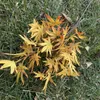 Fake Long Stem Maple Leaf (4 Stems/Piece) 33.47" Length Simulation Autumn Maples for Home Wedding Decorative Artificial Plants