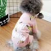 Banana stampa cane vestiti di alta qualità cappotto cane giacche cuccioli di cani costume cotone pet tuta tuta caldo animali domestici cani abbigliamento ropa perro 201127