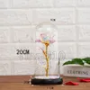 Guldfoliepläterad Rose Glass Cover Jul Dekorativ lampa Simulering av odödlig blomma Handikraft LED Lysnycklar T2I51646