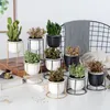 Uppsättning av 3pcs modern plantering med guld svart järn hylla succulent växt potte skrivbord blomkruka metall står fe trädgård dekor y200709