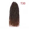 Синтетические предварительные бомба с пружинными волосами 24 -дюймовые страсть S Страсть Crochet Hair 100G ПК Синтетические плетеное наращивание волос Passio2163474