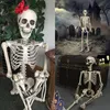 Halloween prop skelet full size skelet schedel hand levensecht menselijk lichaam poseable anatomie model feest festival decoratie Y2010063655434