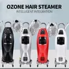 Salon Professional Salon Nano Hair Steamer e processore di colore anionico Processore di cura per il trattamento dell'olioAcceleratore Stand Up Base Salon Spa Eq