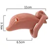 NXY Chastity Urządzenie Plastikowe Mężczyzna Z 4 Rozmiar Pierścionki Mosiądz Lock Cock Cage Delfin Kształt Penis Pierścień Człowiek Produkty Sex Toys1221
