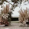 60-80cm vit naturlig reed torkad blomma stor pampas gräs bukett bröllop blomma ceremoni dekoration modern hem dekoration