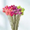 装飾的な花の花輪天然乾燥花ゴンプレナグローブサブーケホームデコレーションウェディングパーティー装飾ワイルドストロベリーB6815622