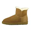 Fashion Winter mini botas de neve Mulheres um designer de bot￵es Bota quente para Lady Outdoor Minis Shoes Online