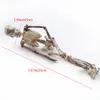 1pcs Rium скелетной смолы с скелетом человеческой смолы
