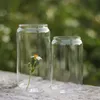 sublimazione 12 once 16 once lattina di vetro bicchiere di vetro con coperchio in bambù riutilizzabili cannucce di birra Lattine Bicchieri di soda CanCup satinati trasparenti