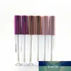 100 Stück 2,5 ml leere Lipgloss-Flasche zum Selbermachen, klarer/mattierter Lippenstift, professionelles Schönheits-Make-up-Werkzeug