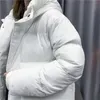 Automne et hiver coupe-vent veste matelassée pour couple épais chaud doudoune trois couleurs en option veste à capuche manteau NB94022