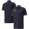 T-shirt da uomo T-shirt squadra F1 T-shirt tuta da gara di Formula 1 Polo Race Quick Dry Manica corta Estate Casual T-shirt sportiva Jersey traspirante Q9X4