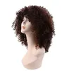 Kvinnor Brown Syntetisk Curly Wig Short Full Wigs Andas och tvättbar