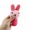 /lot MixColors Wholesale Pet Dog Toys For Small Dogs Cute Puppy Cat Chew Squeaker Squeaky Plush Toy Pet Supplies LJ201028